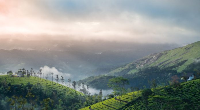 echo point Munnar, (Image Source: Pexels) echo point Munnar
