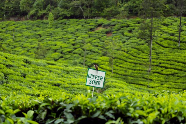 Kotagiri provides a serene break from the daily banters