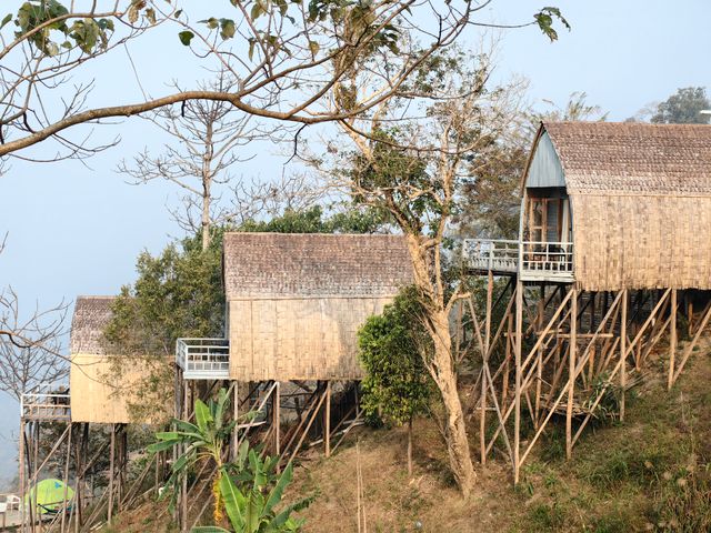 best tree resort in Munnar