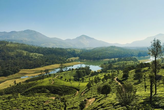 best resort in munnar with lake view