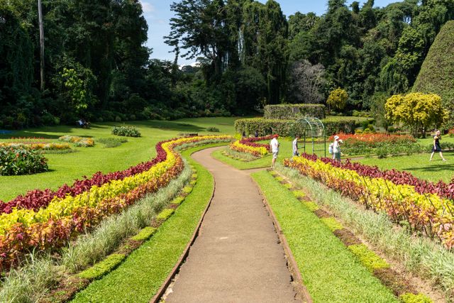 the stunning sims park is segregated into four distinct sections