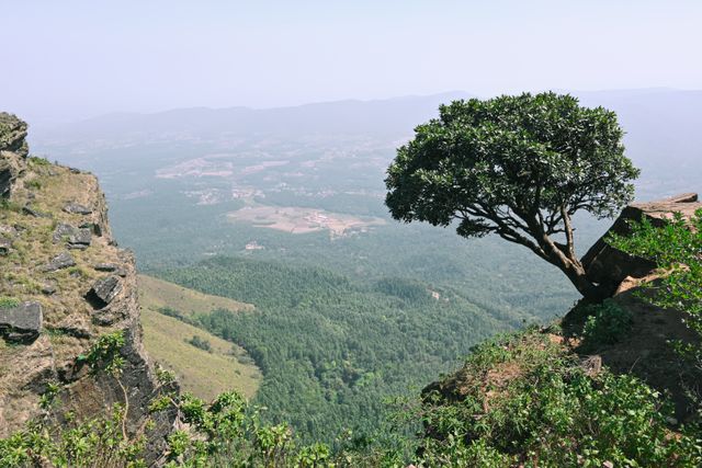 Scenic views from the view point.