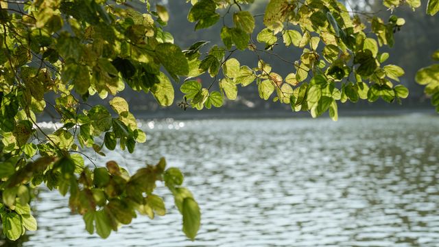 the lake is one of the best kodaikanal tourist places