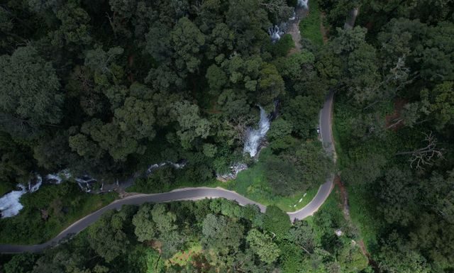 Hill Stations In Kerala, (Image Source: Pexels) Hill Stations In Kerala