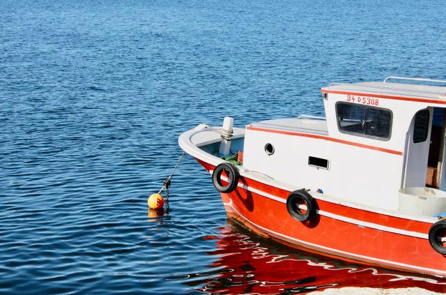 Boat rides are a must while in Alleppey.
