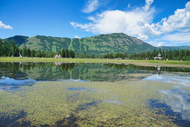 best places to visit near shimla within 50 kms