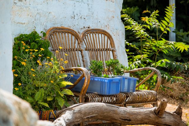 best resorts in varkala cliff to spend your vacation