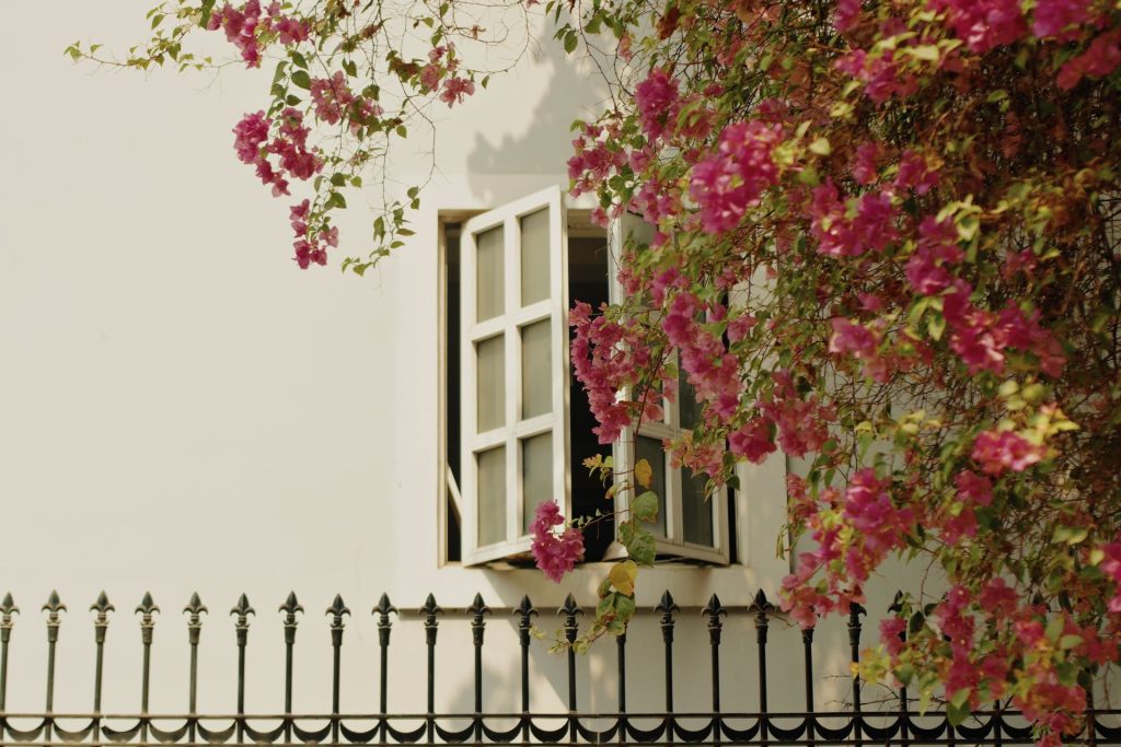 white town Pondicherry