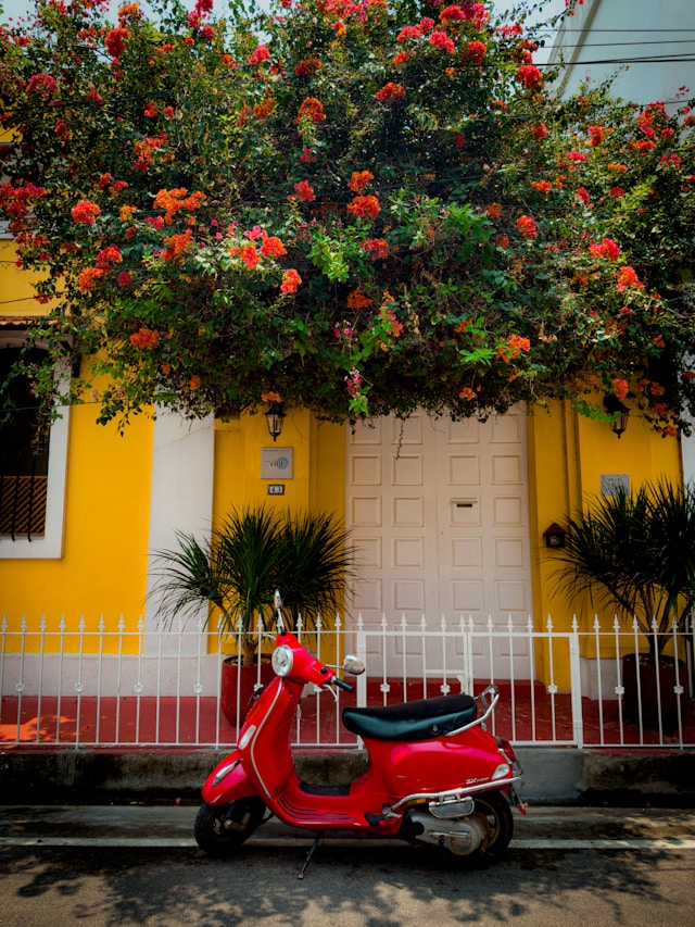 beautiful strees of french white town Pondicherry