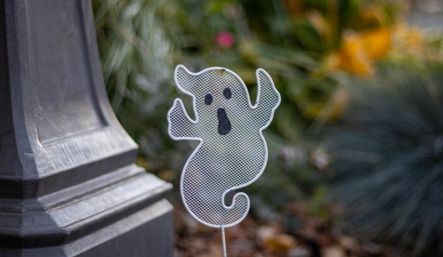 Venice Carnevale Celebrate Halloween