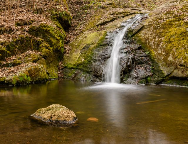 best time to go to dharamshala waterfall is during the monsoon