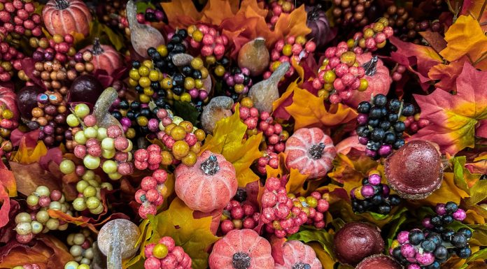 thanksgiving, (Image Source: Pexels) thanksgiving