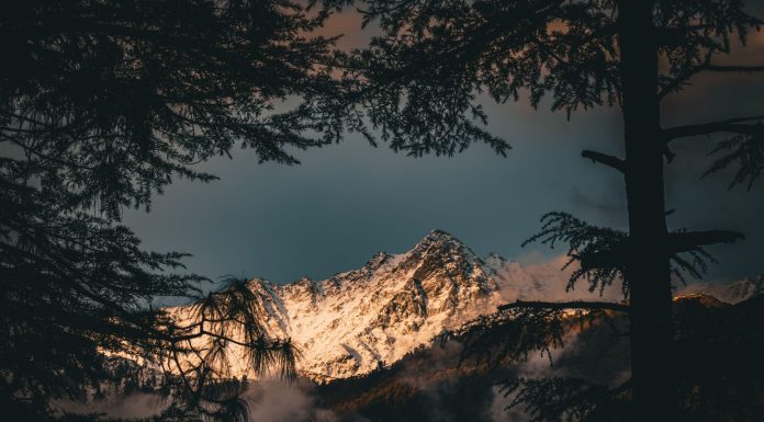 Kasol Guide, (Image Source: Pexels) Places to visit in Kasol
