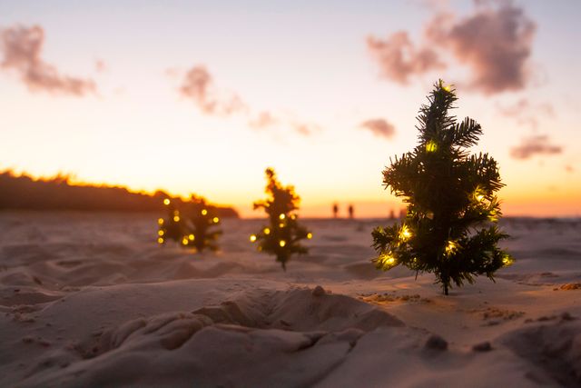 christmas in goa is full on fun