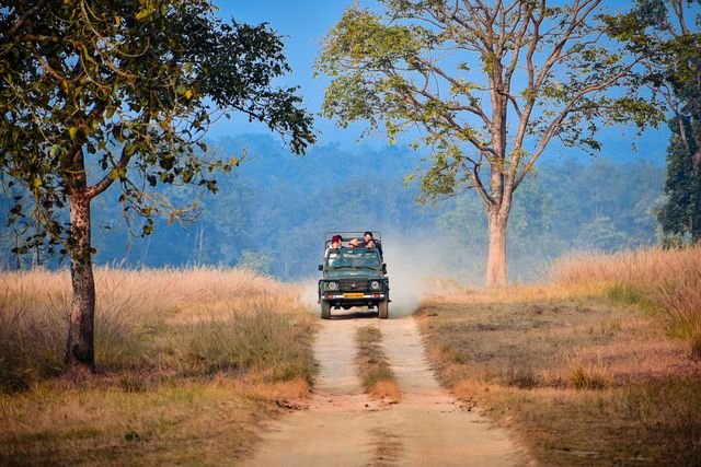 safari at jim corbett is one of the must do activity