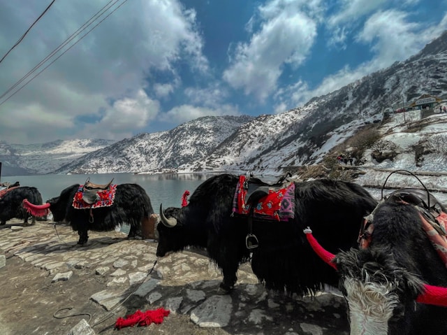 top sikkim tourist places that cannot be missed