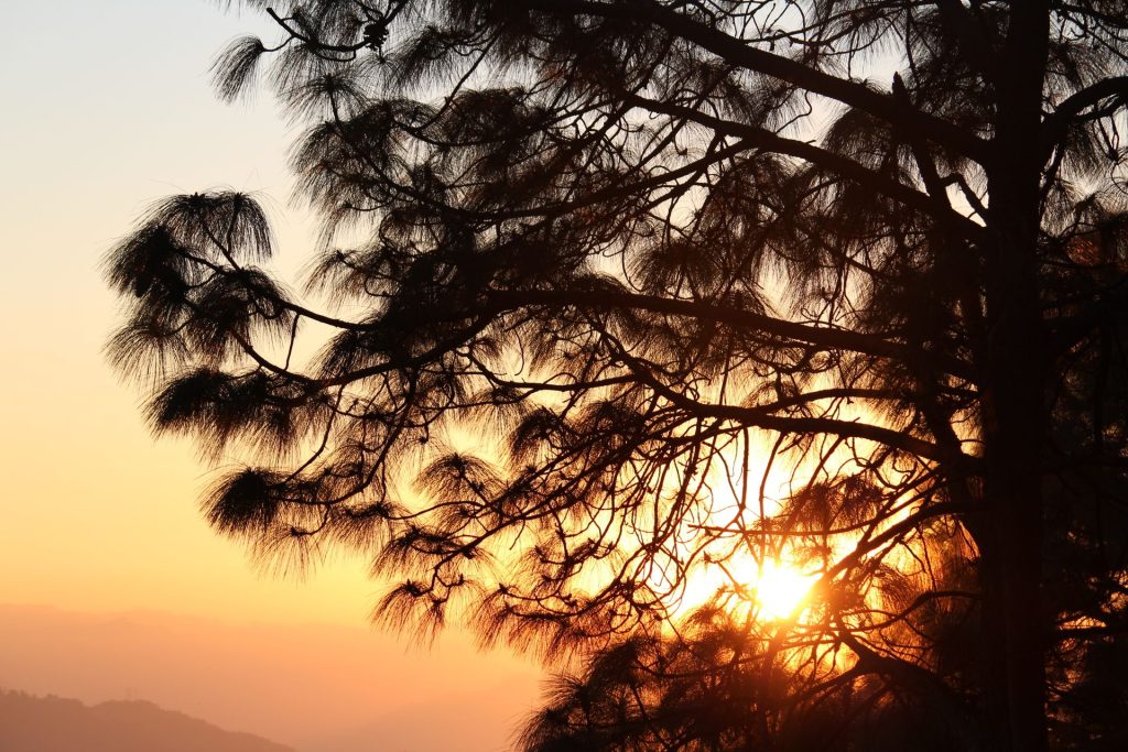 landour Mussoorie