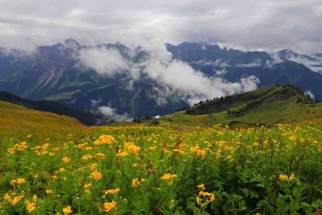 best places for trekking in Uttarakhand