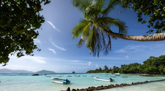 Things To Do In Seychelles (Image Source: Unsplash) Things To Do In Seychelles