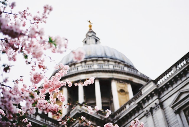 London in full bloom during the autumn season