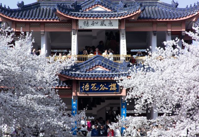 Yuantouzhu is a land surrounded by water on three sides