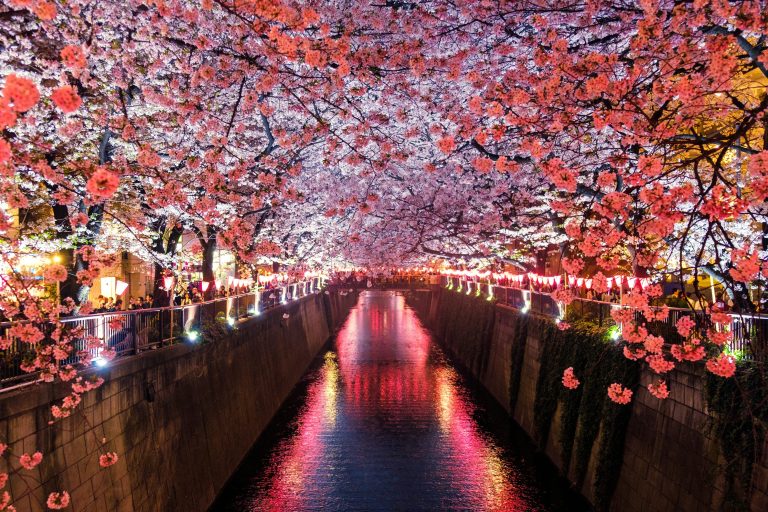 First Timers Guide To The 10 Best Places To Visit In Japan