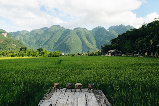 check weather in hanoi before booking your tickets
