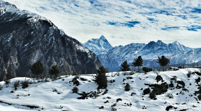Auli (Image Source: Unsplash) Places to visit in auli