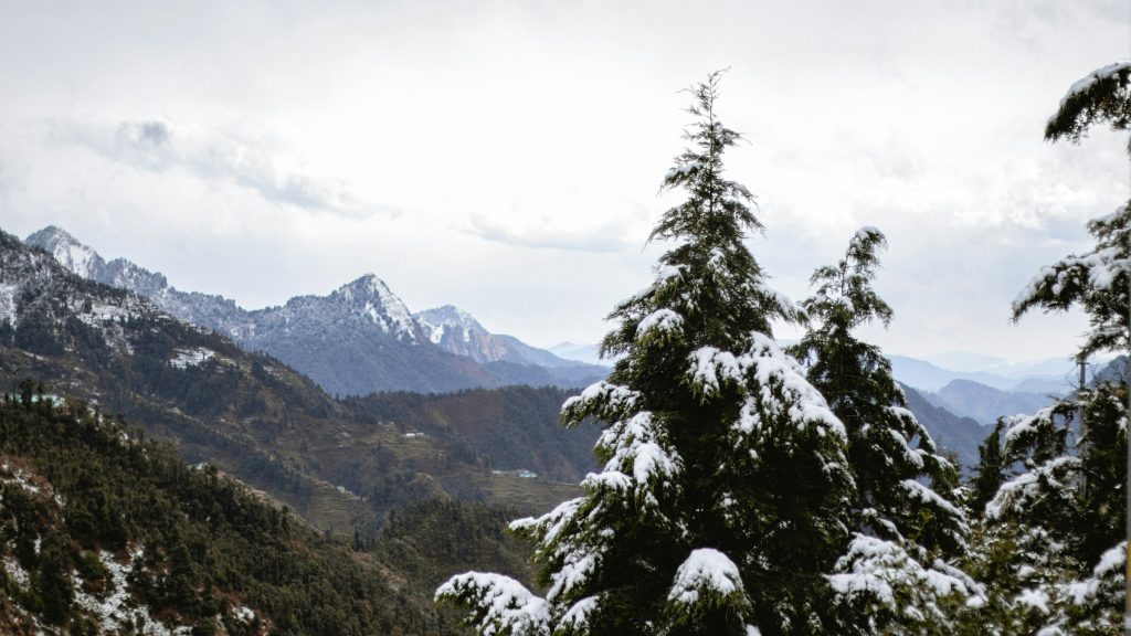 places to visit in dhanaulti