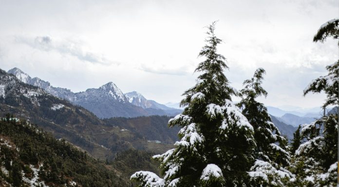 places to visit in dhanaulti, (Image Source: Unsplash) places to visit in dhanaulti