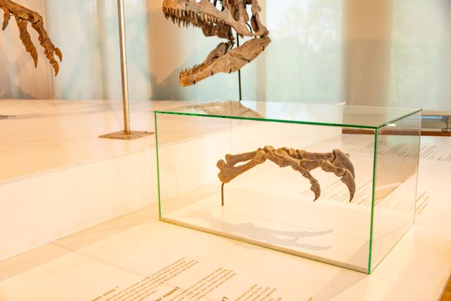 Miami Science Museum offers visitors of all ages an entertaining and instructive experience.
