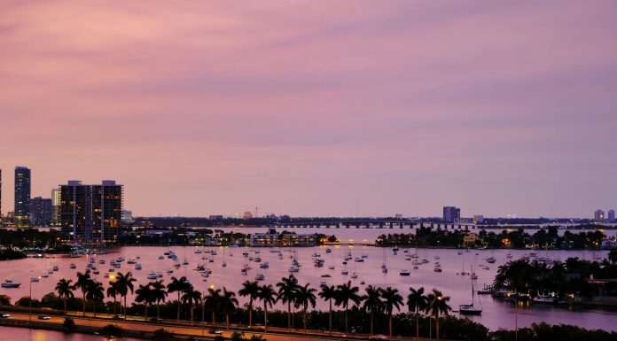things to do in miami florida,, (Image Source: Pexels) things to do in miami florida