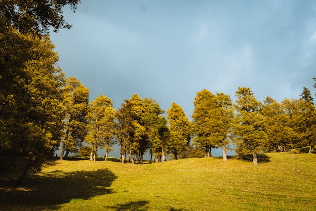 top auli tourism places to visit