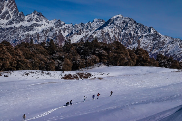 there are many best things to do in auli