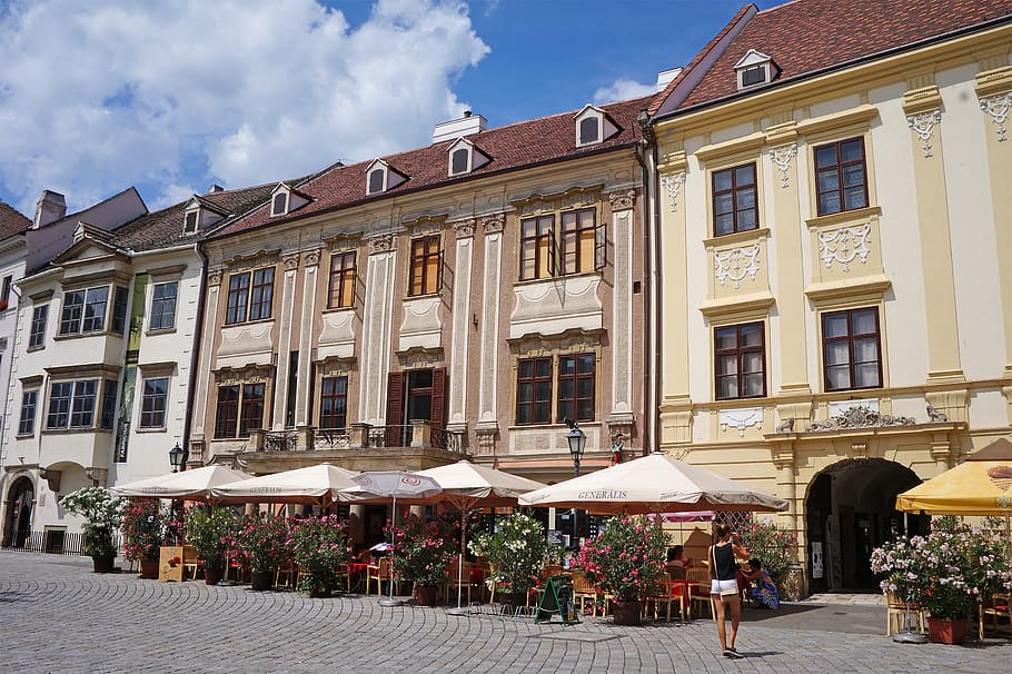 city's cellar doors boast some of the best Austrian-style wine.