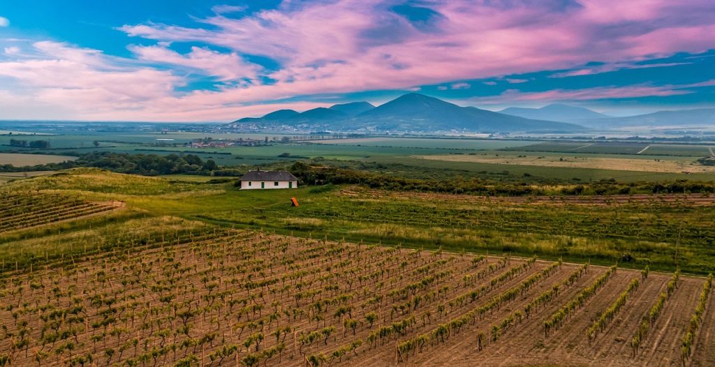Tokaj is the wine taster's paradise
