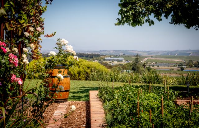franschhoek wine estates are a must visit