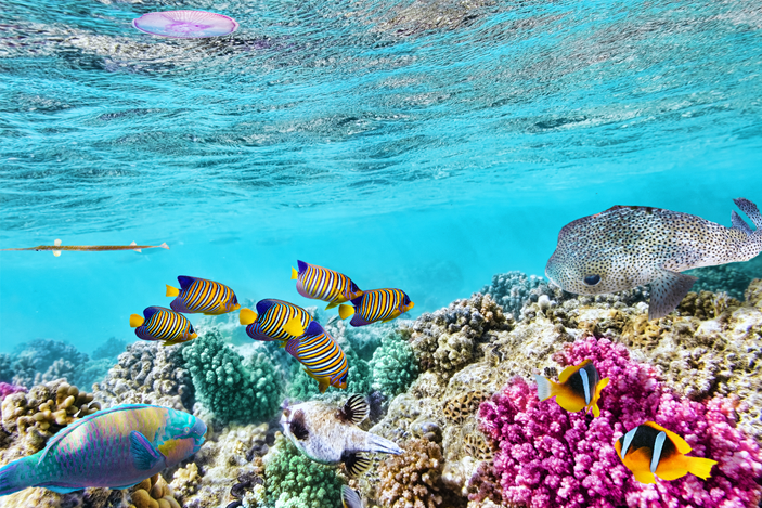 where is the great barrier reef located