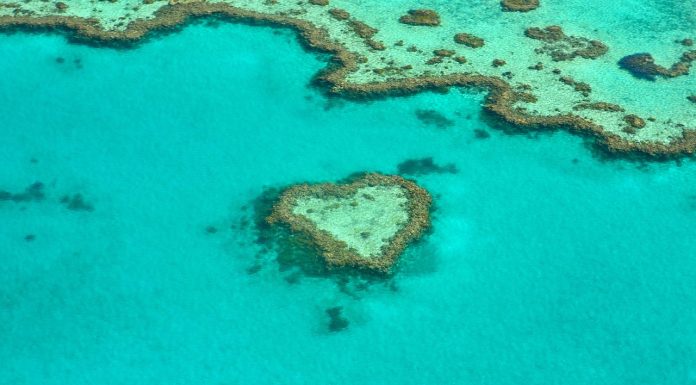 great barrier reef