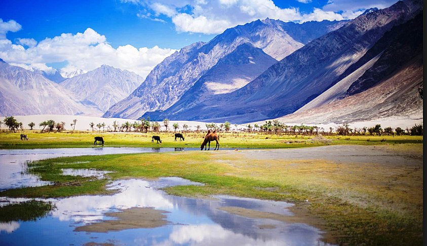 snow-capped Himalayan hills