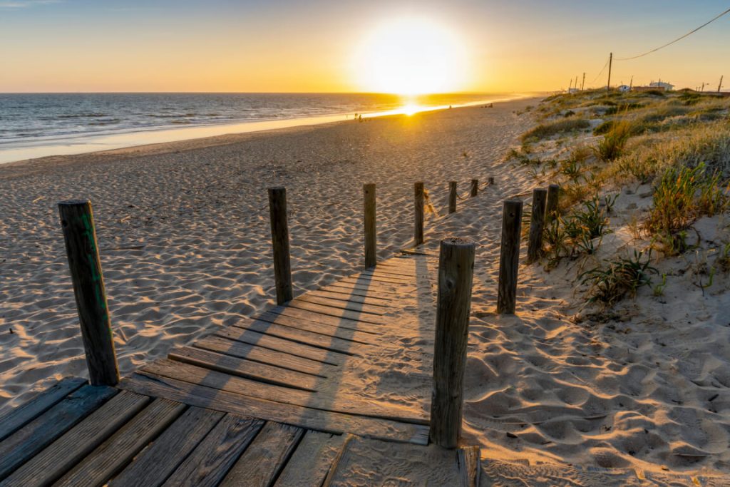 magnificent golden sands by the beach