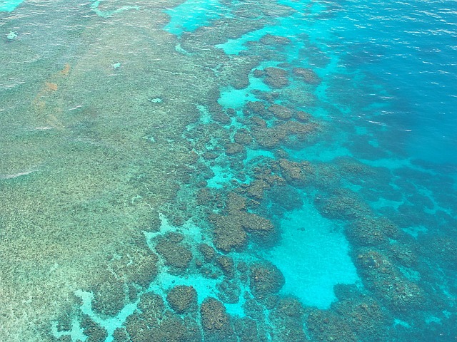 vibrant underwater kingdom teemed with color and mystery
