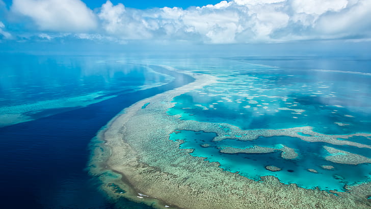 great barrier reef of australia is the the largest coral reef system in the world.