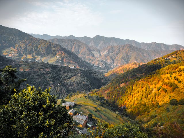 valley of flowers india