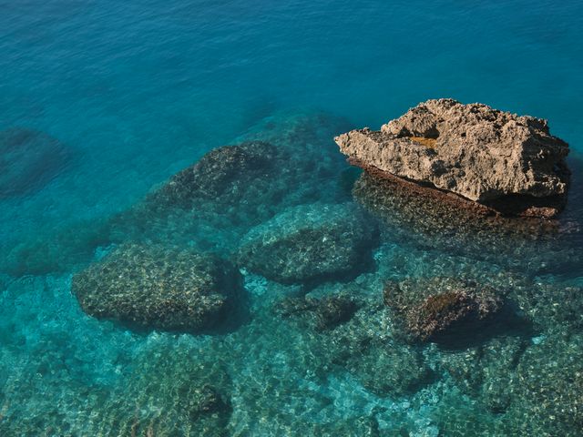 vibrant underwater kingdom teemed with color and mystery
