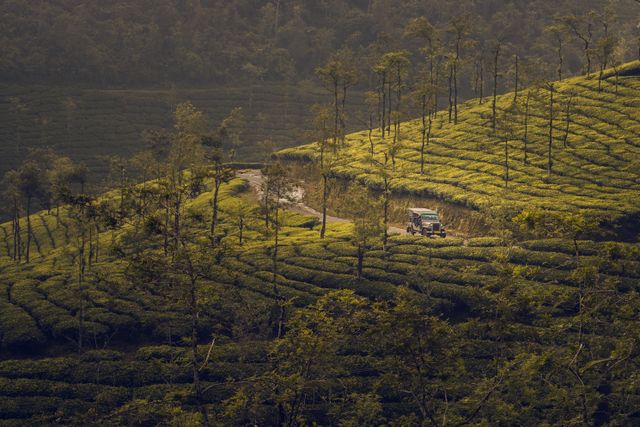 God's own land, Kerala.