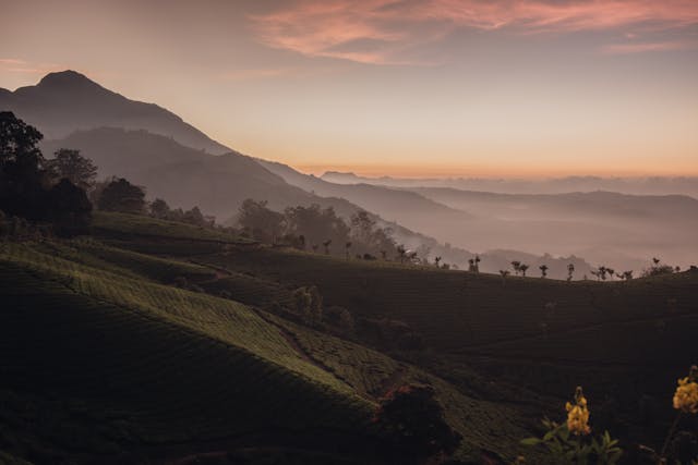 stunning Nilgiri Mountains of Tamil Nadu