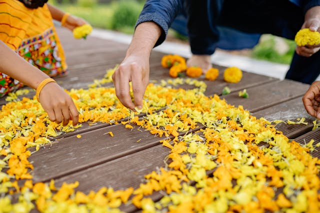 one of the main festivals in kerala is onam