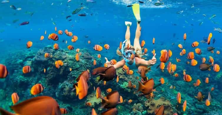 sharm el sheikh in egypt is a great place to visit