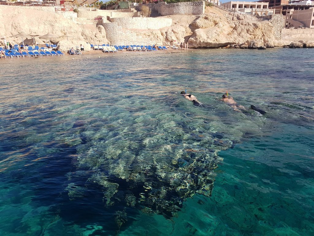 crystal-clear waters of Shark’s Bay 